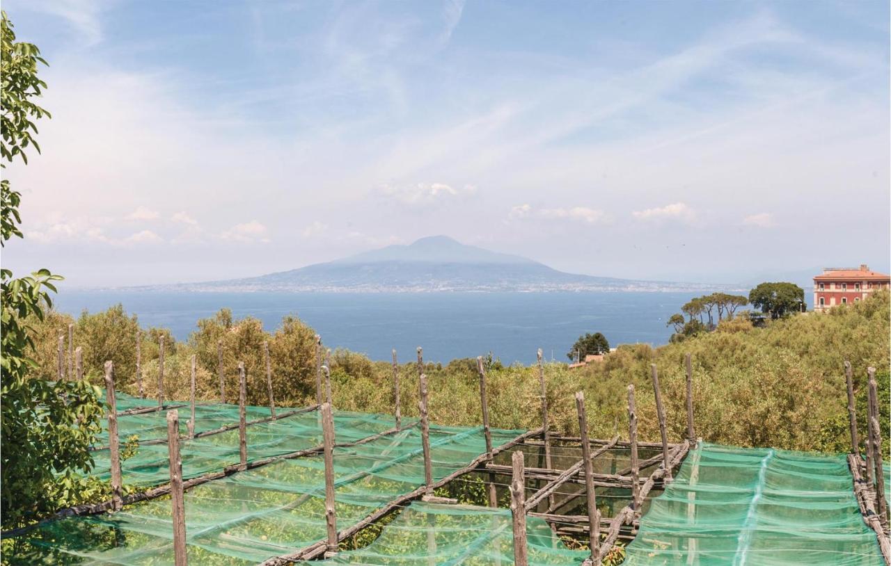 Casa vacanze La Limonaia *